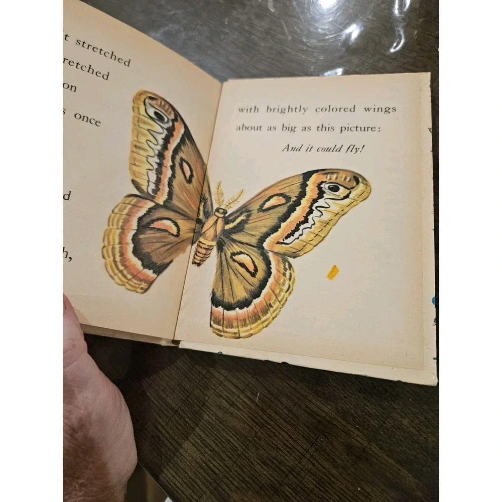 A Moth Is Born Rand McNally Elf‎ Book Vintage 1967